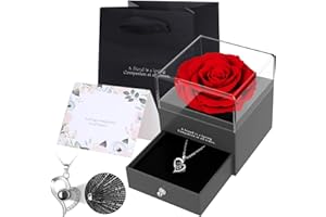 Zynxel Coffret Eternelle de Roses avec Bijoux, Collier Femme boîte de Roses,Pendentif Coeur avec Rose Conservée,Rose Stabilisée Rouge,Cadeau pour Elle la Noël,La Saint-Valentin,Fête des