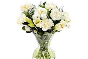 SendaBunch Fresh White Flower Bouquet - Elegant Arrangement of Carnations, Lilies & Chrysanthemums in Glass Vase (30cm x 50cm) - Beautiful Presents for Women, Fresh Cut Flowers for All Occasions