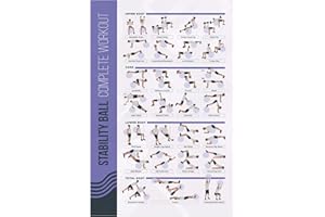 POSTERMATE FitMate - Poster per esercizi di allenamento con palla di stabilità con pesi liberi, decorazione per la palestra e guida della stanza