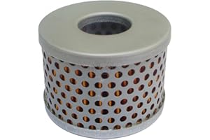 Lister Petter Fuel Filter, Cartridge Type for Belle, Benford, Kohler