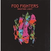 Wasting Light [Vinyl LP]