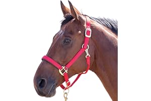 SHIRES TOPAZ NYLON HEADCOLLAR: RED: SMALL PONY