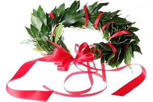 CORONEDILAUREA.COM Corona alloro laurea, corona di alloro per laurea realizzato a mano, qualità premium (classica), corona laurea, ghirlanda laurea, coroncina alloro