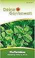 Pfefferminze Samen (Mehrjährig) | Pfefferminzsamen | Saatgut für Pfefferminze-Pflanzen | Kräutersamen | Pfefferminzesamen