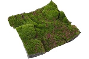Amosfun Tappeto Muschio Artificiale Tappetino per Prato Realistico Tappeto Muschio Sintetico Decorazione Fata Giardino Muro Di Muschio Falso Tamponi per Piante