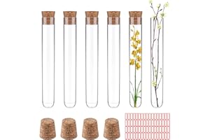 YUE QIN Lot de 24 Tubes à Essai avec Bouchon en Liège ubes à Essais de Laboratoire Tube Essai Plastique de Stockage Trasparente pour Bonbons Epice Plante Echantillon (10ml)