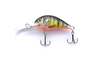 EVERBAY DORADO BLAGIER Fishing Lure - Artificial Hard Crankbait - Fishing Tackle, Topwater Life-Like Swimbait for Trout Salmon Perch Chub Barbel Ide Trolling and Long Cast in Freshwater, Sinking Wobbler