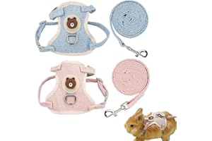 AFHGDJR Pack of 2 rabbit leads, rabbit harness, rabbit leash, rabbit toy, dwarf rabbit, rabbit harness, suitable for rabbits, cats, small dogs and other small animals.