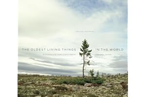 The Oldest Living Things in the World