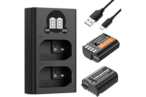 K&F CONCEPT DMW-BLK22 Ersatzakku 2er Pack mit LCD Dual Slot Ladegerät Kompatibel mit Panasonic Lumix DC-S5 DC-S5 II DC-S5 IIX GH5 II GH6 S5II S5M2 GH5M2, etc Kompatibel mit Original Ladegerät und Akku