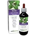 Lemon Balm (Melissa officinalis) Leaves Alcohol-Free Mother Tincture Naturalma - Liquid Extract Drops 200 ml - Food Supplement - Vegan