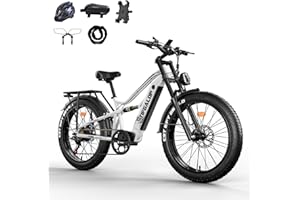 Lohang Vélo électrique pour Adultes, VTT 26 Pouces, Batterie 52 V 19/21 Ah, autonomie jusqu'à 40-90 km, Moteur Unique/Double, Double amortisseurs, 7 Vitesses, vélo électrique de Plage et de Neige