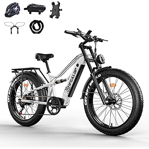 71pX0p1NM0L. AC UL300 SR300,300