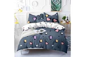 BESCH Juego de Funda Nordica 100% Microfibra de Poliester Suave 4 Piezas - Juego de Funda Edredónes 220x220cm y con 2 Funda de Almohada 50x75cm (Corazon Colores)