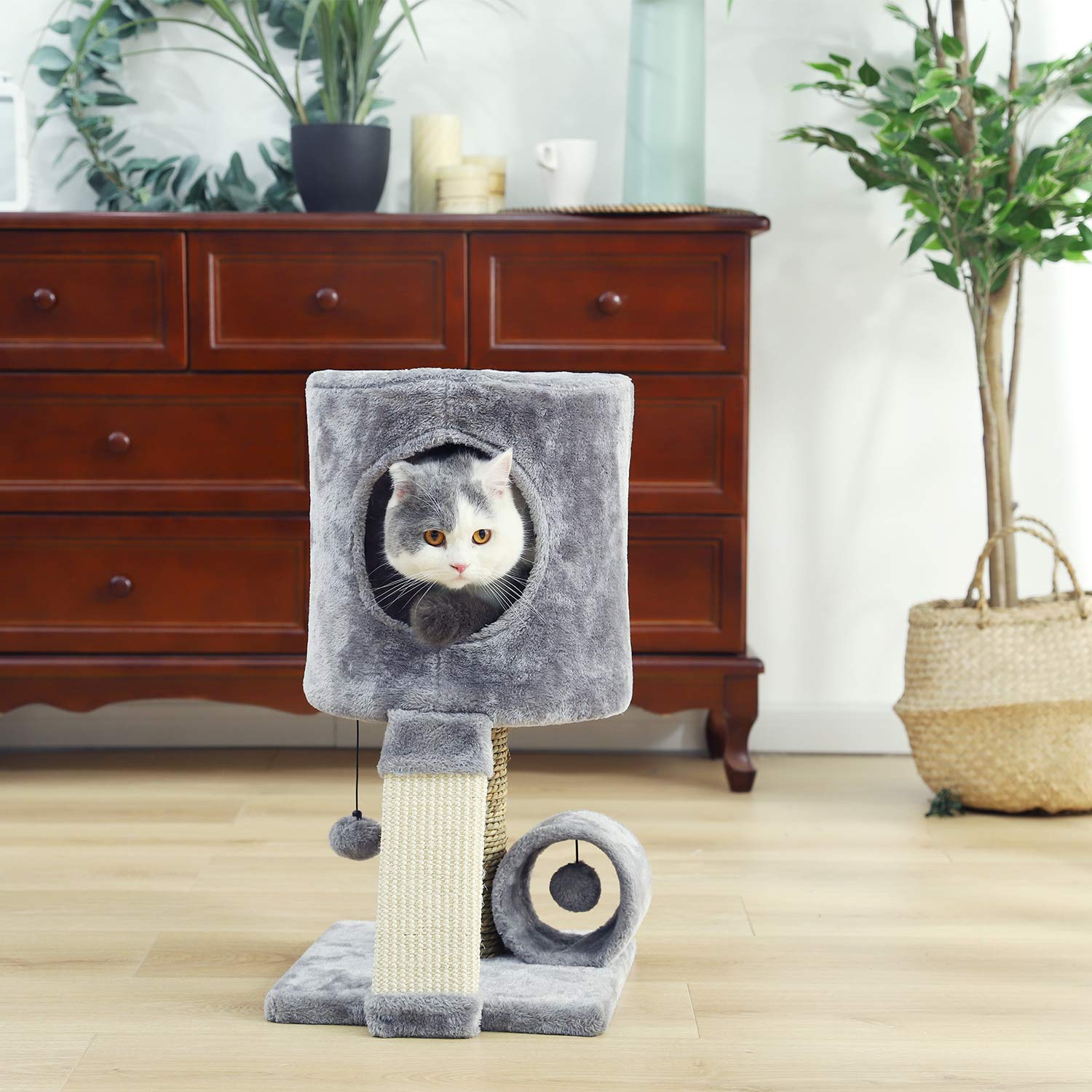 PAWZ-Road-Petit-Arbre--Chat-Chaton-avec-poteaux-et-griffoir-en-sisal-Centre-dActivit-pour-Chat-Gris-31-31-51cm