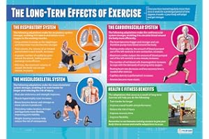 The Long-Term Effects of Exercise | PE Posters | Gloss Paper measuring 850mm x 594mm (A1) | Physical Education Charts for the Classroom | Education Charts by Daydream Education
