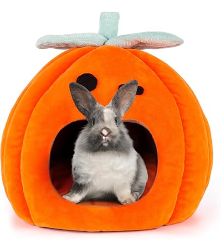 Kattenbed, Halloween-kattenhuis voor binnen, Halloween, huisdier, kittenvorm, huisdierbed, comfortabel huisdierenhol voor huiskatten en kleine honden