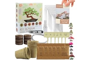 Louise & Gaston L&G - kompletny zestaw bonsai do uprawy - 6 nasion w 100% naturalnych, ogrodnictwa i dekoracji wnętrz, zestaw bonsai dla początkujących i ekologiczny pomysł na prezent