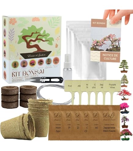 Gift Republic Grow It Geschenkset Bonsai-Pflanzset : Amazon.de: Garten