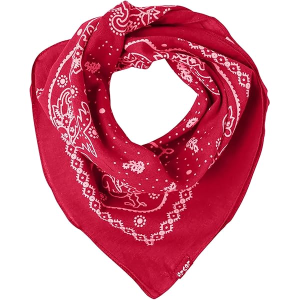 RED X 100% Katoen XL Paisley Bandana (25 x 25) Lichtgewicht, Verbrand Oranje, XL