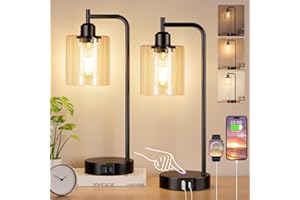Aooshine Bedside Lamps Set of 2, Industrial Touch Lamps Bedside with USB C+A Charging Ports, Bedside Table Lamps for Bedroom, Black Bedside Lamps with Clear Glass Shade for Living Room(Bulbs Included)