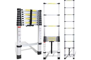 Cecaylie Scala telescopica in alluminio, allungabile, antiscivolo, multifunzionale, portatile, portata massima 150 kg, 2,6 m