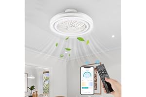 NACATIN Ventilador de Techo con Luz y Control Remoto, 30CM, Acrílico, Blanco.Silencioso, con luz LED y regulación continua de intensidad y velocidad. Ideal para dormitorio, sala de estar y cocina.