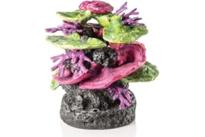 biOrb Coral Cresta Verde-Morado