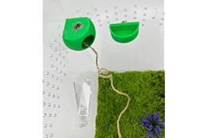 OKUEEJUR Jumping Spider Hide with Magnets & Jumping Spider Feeding Dish umping Spider Enclosure Accessories Pet Spider Hideout Enclosure Accessories(Not Included The Jumping Spider Terrarium) (Green)