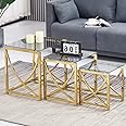 AINPECCA Nest of 3 Coffee Table Modern Sofa Side End Table Tempered glass with Stainless Steel Legs Nesting Tables for Living Room (Gold, Black Grey Glass)