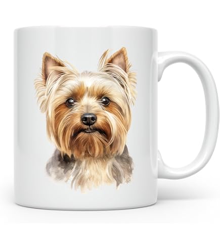 Biglietto d'auguri Schnauzer - Biglietto per amanti dei cani - Biglietto Schnauzer in miniatura - Biglietto d'auguri a tema cani - Schnauzer con palloncini - Biglietto Schnauzer in miniatura - Italia