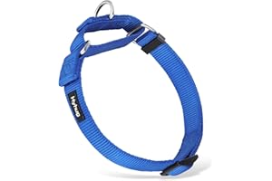 Hyhug Durable Escape-proof Martingale Dog Collar for Large Breeds Boy and Girl Dogs - Walking Training Daily Use. (Large, Bright Blue)
