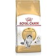 Royal Canin Cat Food Norwegian Forest 10 KG