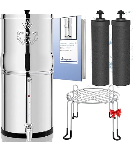 Filtres à Eau Par Gravité ProOne G2.0 – Lot De 2, Compatibles Berkey, Waterdrop, Certifiés NSF-42
