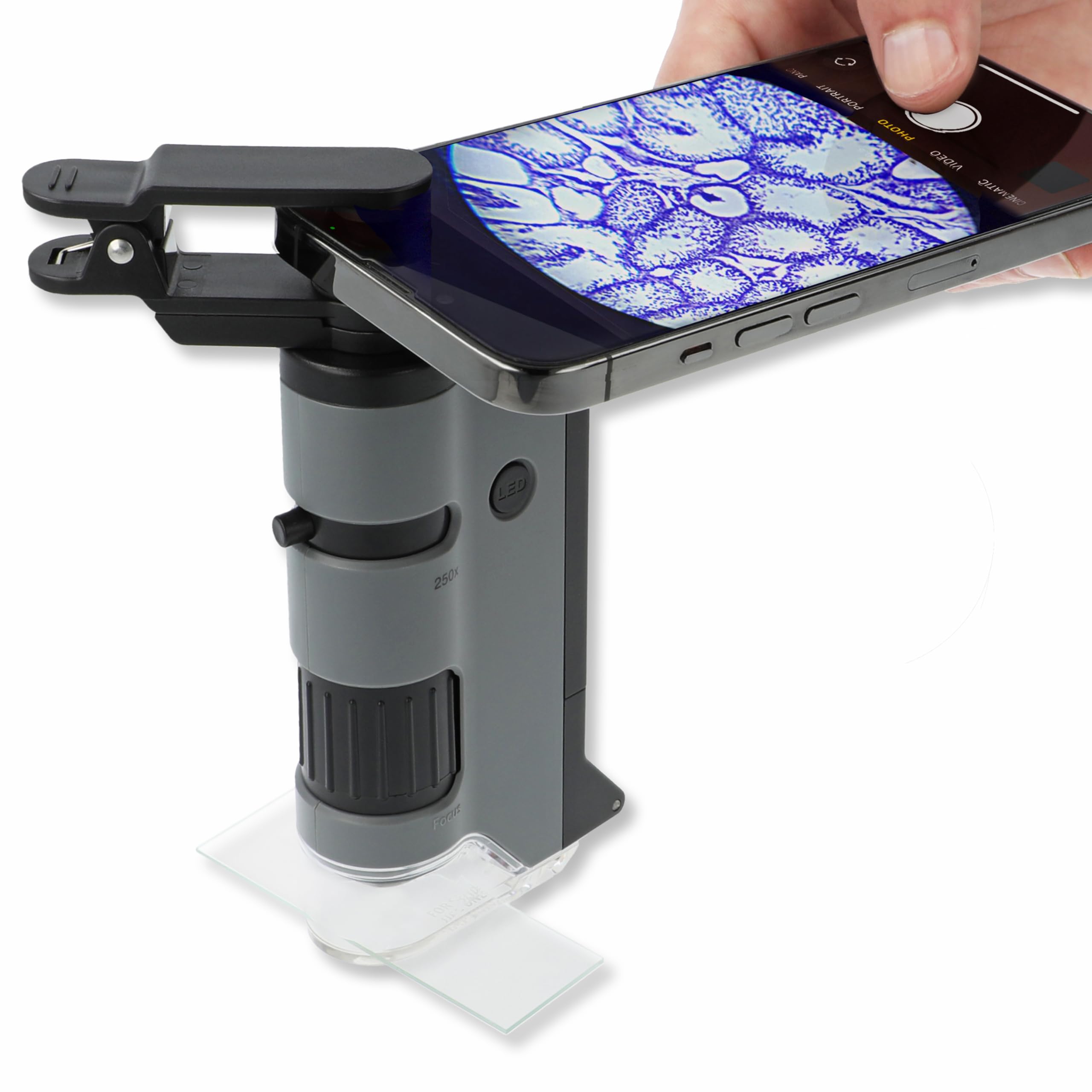 Carson MicroFlip 100x-250x LED Lighted Pocket Microscope with Flip Down Slide Base, Smartphone Adapter Clip, and UV Flashlight