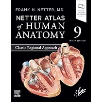 Netter Atlas of Human Anatomy: Classic Regional Approach (Netter