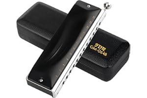 JDR Chromatische Mundharmonika C Key 12-Loch 48 Töne Chromatische Mundharmonika Key of C für Kinder Anfänger Erwachsene Profi Spieler Eltern | GM0648