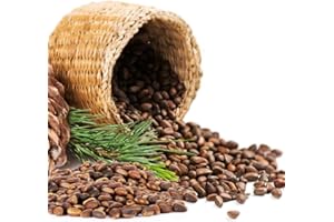 ‎ZARENHOFF Zedernuss Pinienkerne aus Sibirien, ungeschält, 500 g