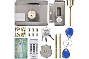 WANDISY Serratura elettronica di vendita pazza, serratura intelligente della porta con telecomando a doppia testa