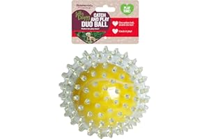 Rosewood Jolly Doggy Balle de Tennis Attraper/Jouer Jouet pour Chien