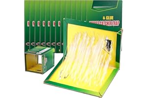 FENTAR 14Pcs Trampa Pegamento Ratones, Profesional Trampas para Ratones Ecológicas, Trampa Adhesiva para Ratas, Potentes Trampas para Ratas Grandes Adhesivas, Trampas Ratas Apto para Cucarachas Y Arañas