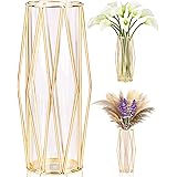 Jarrones Decorativos Modernos con Soporte Metálico Geométrico, Terrario Cristalino, Florero de Vidrio para Plantas Hidropónic