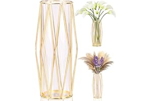 AOKITO Jarrones Decorativos Modernos con Soporte Metálico Geométrico, Terrario Cristalino, Florero de Vidrio para Plantas Hidropónicas y Flores, Centro de Mesa para Bodas y Decoración de Interiores