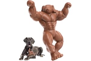 HETOO Indestructible Dog Toys,Dog Chew Toys for Aggressive Chewers,Durable Tough Dog Toys for Boredom,Nylon Dog Toys for Large Dogs Beef Flavored Long Lasting Toy Bone Replacement - Boxing Shape