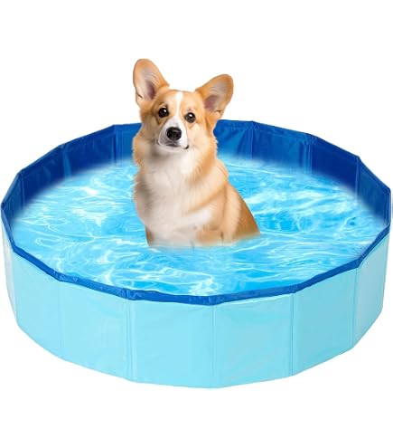 Piscine Pour Chat Pliable En PVC - Diamètre 30 Cm, Hauteur 10 Cm - Bleu, Antidérapante - Avec Jouets - Idéale Pour Rafraîchir Votre Chat
