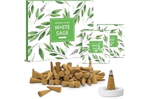 SCENTORINI Cônes d'Encens, Assortiment Encens Cone 120pcs, Sauge Blanche Parfum Cones, avec Support de Bâtons d'Encens