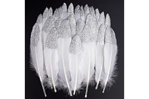VIDILLO Plumas de Ganso, 40 pcs Plata Sumergido Blanco Natural Plumas de Gallo Manualidades Decoración para Disfraces Hats, Hogar Bricolaje, Ropa Casa Fiesta (accesorio de disfraz)