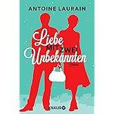 Liebe mit zwei Unbekannten: Roman
