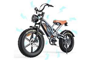 JANSNO Bicicleta Eléctrica 20" x 4.0 Fat Tire, Homologada CE,batería extraíble de 48V 17Ah/34Ah,Sistema de 7 velocidades, Bicicleta eléctrica para Adultos