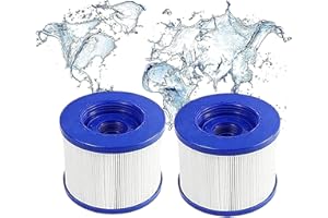 WOEJGO Lot de 2 Cartouches filtrantes de Rechange pour Spa Hot Tub/Clever Spa - avec Filetage à vis - pour Spa-N1407535/filtre pour Mspa,pour Spa Pool Filtre kit d'entretien
